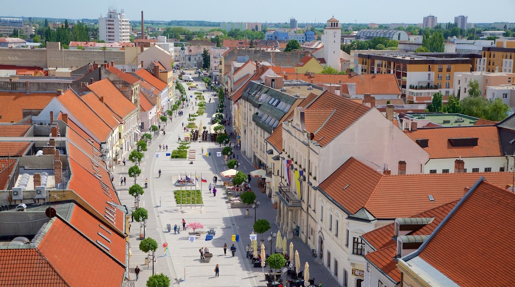 Trnava which includes street scenes, a city and a square or plaza