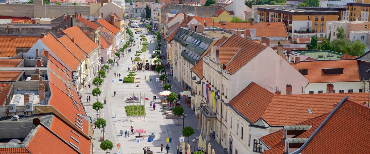 A wide street lined with historic buildings and a central square with a clock tower.