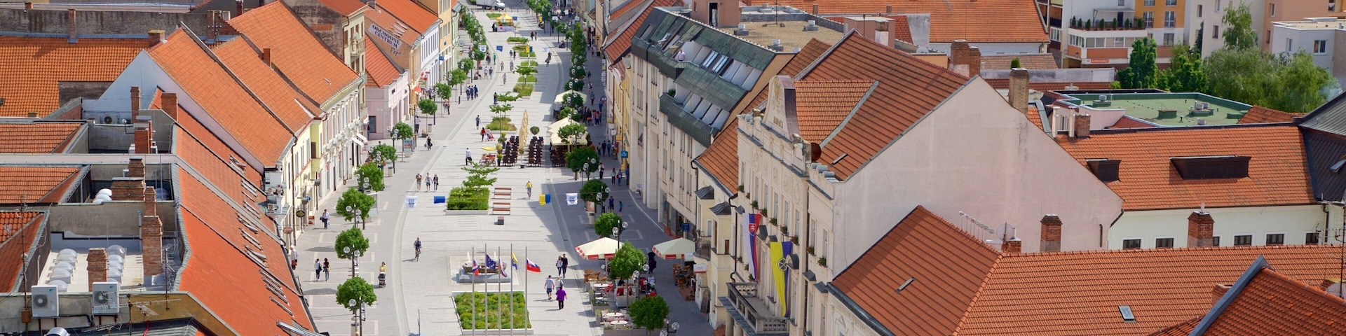 A wide street lined with historic buildings and a central square with a clock tower.