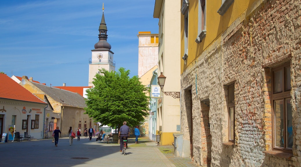 Trnava which includes a city and street scenes