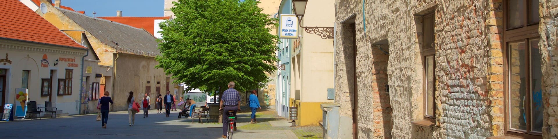 Trnava showing a city and street scenes
