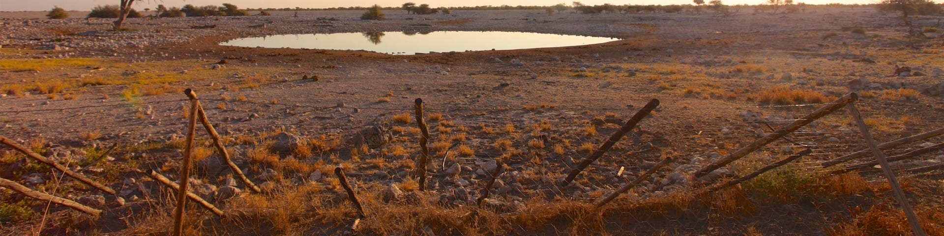 Etosha National Park