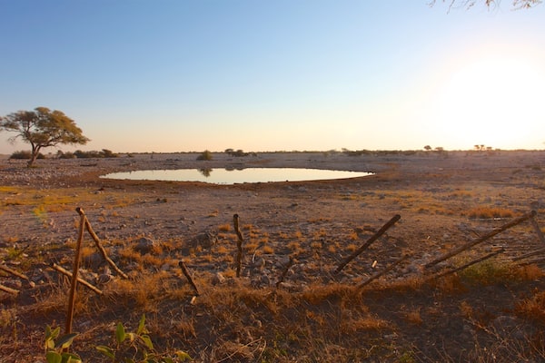 Etosha National Park