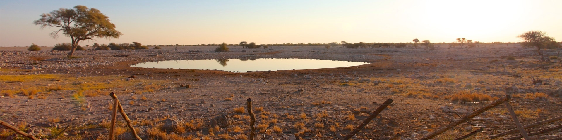 Etosha National Park