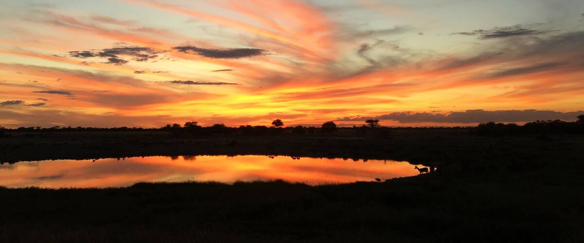 Colour and shape change dramatically with the angle of the sun. As the evening approaches pinks, reds and golds stripe the sky and the waterhole.