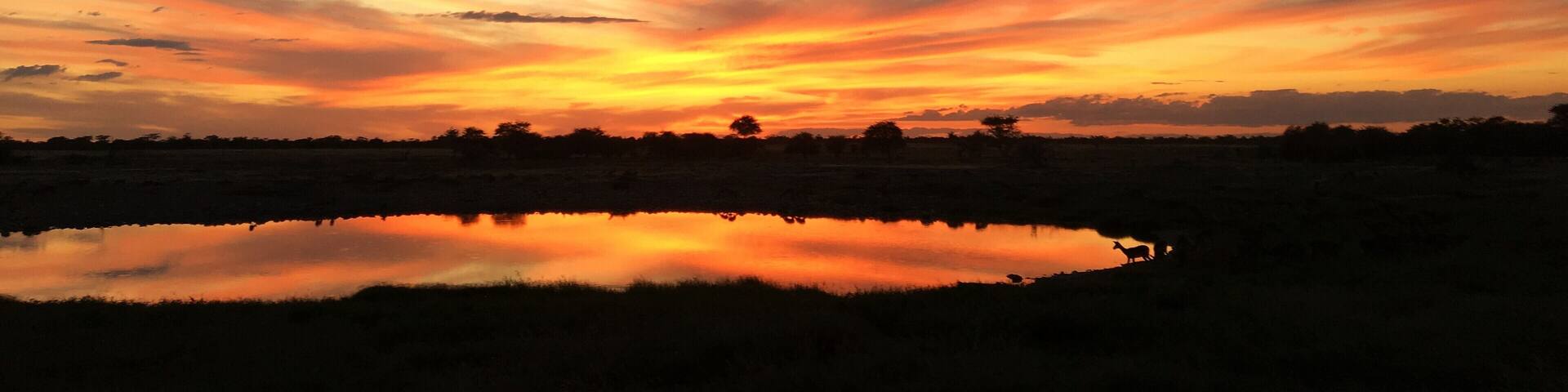 Colour and shape change dramatically with the angle of the sun. As the evening approaches pinks, reds and golds stripe the sky and the waterhole.