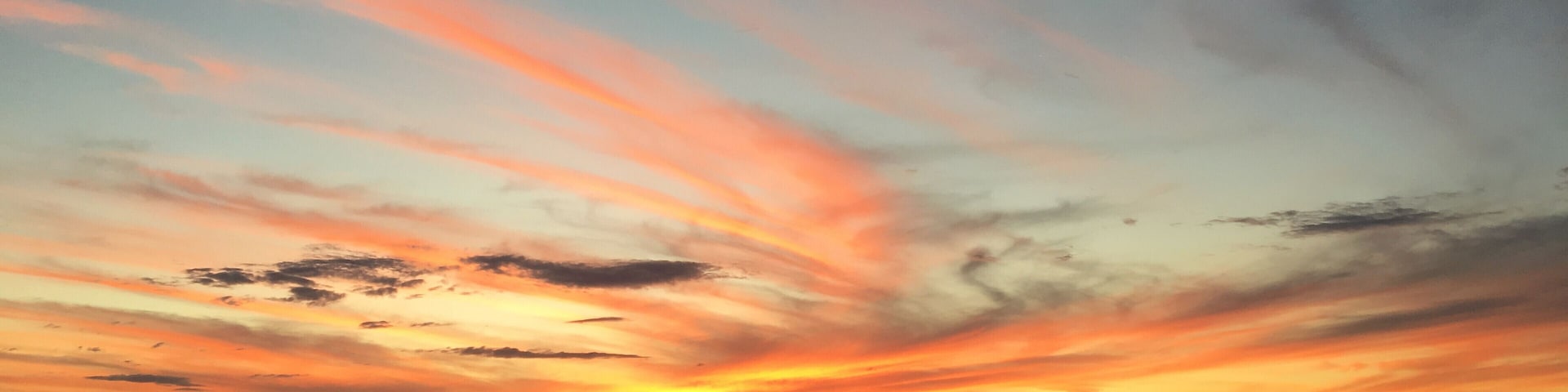 Colour and shape change dramatically with the angle of the sun. As the evening approaches pinks, reds and golds stripe the sky and the waterhole.