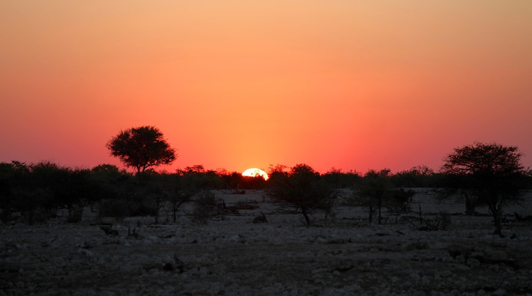 Etosha National Park som omfatter fredfyldte omgivelser og en solnedgang