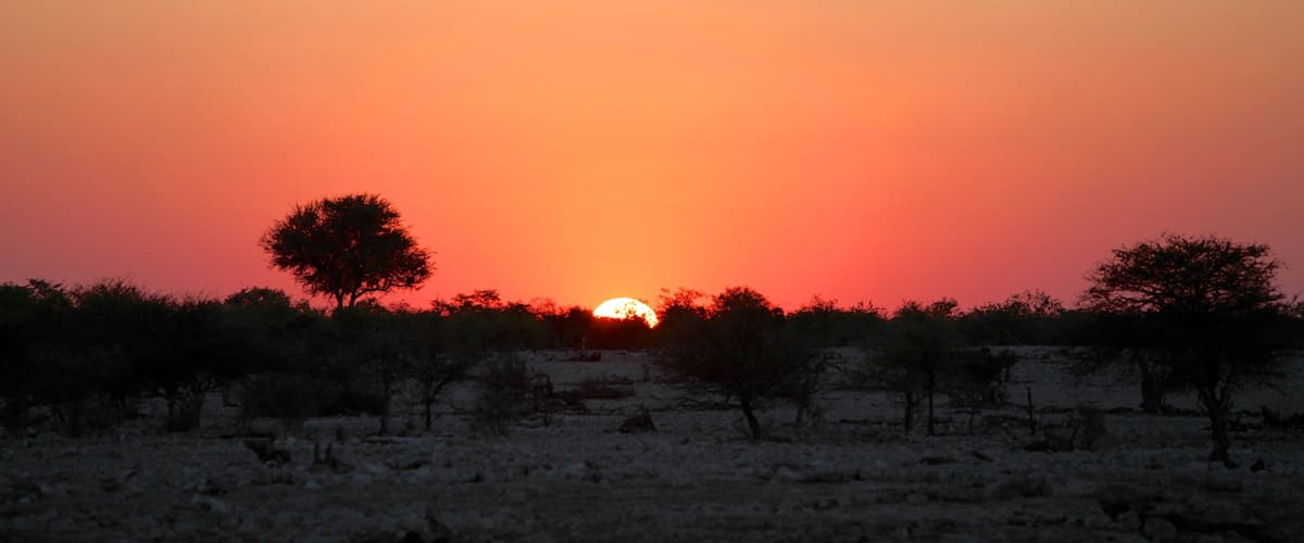 Parque nacional Etosha