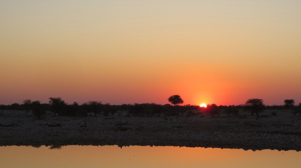Parque nacional Etosha mostrando escenas tranquilas, un atardecer y un lago o espejo de agua