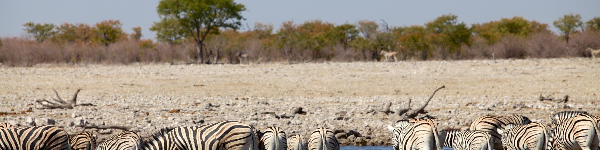 Etosha National Park