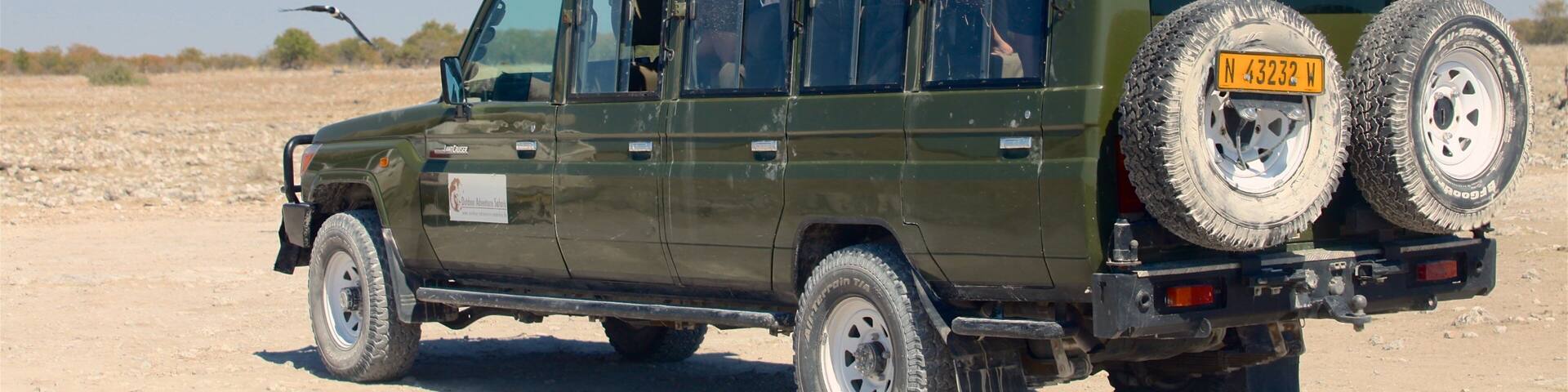 Parque Nacional de Etosha mostrando 4x4 e aventuras de safári assim como um pequeno grupo de pessoas