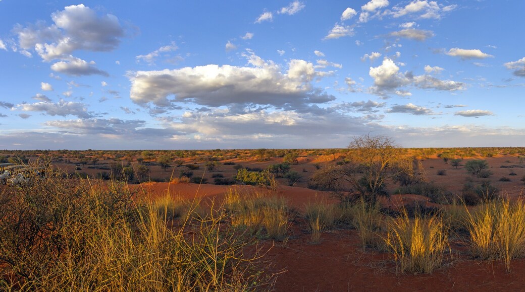 Intu Afrika Kalahari privatreservat