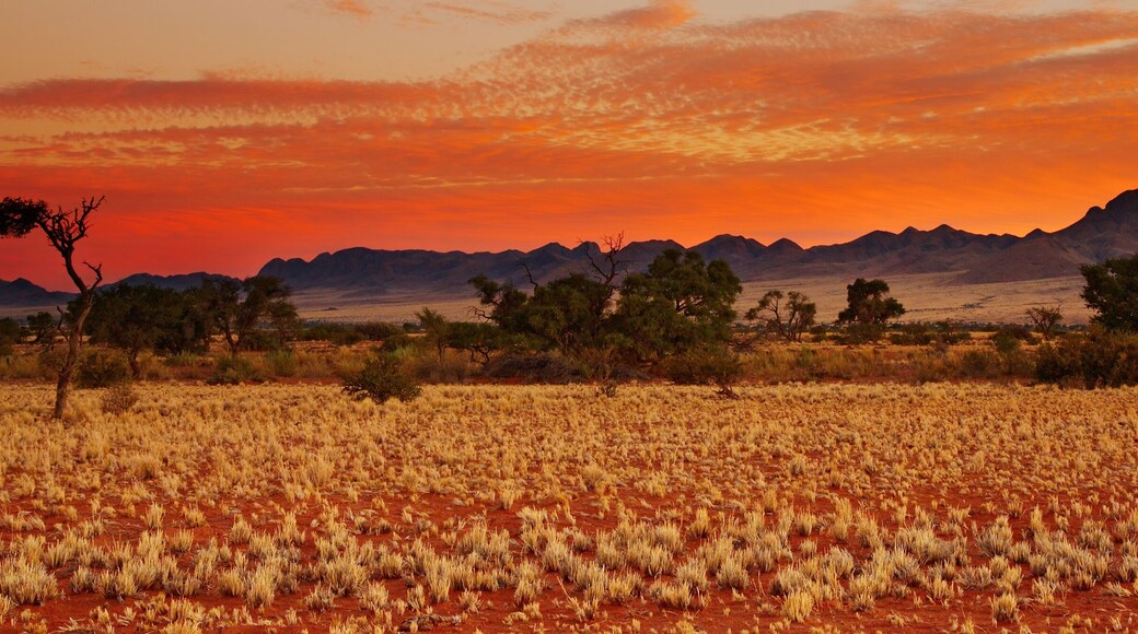 Intu Afrika Kalahari privatreservat