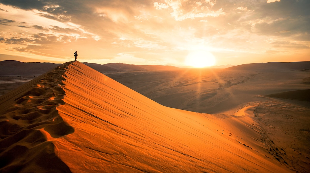 Namib Desert