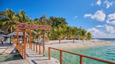 Un muelle de madera que conduce a una playa con agua turquesa cristalina, palmeras y un cartel que dice "Welcome to Hideaway Island".