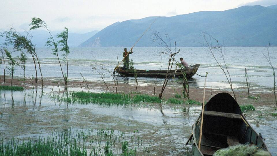 A river with boats and vegetation.