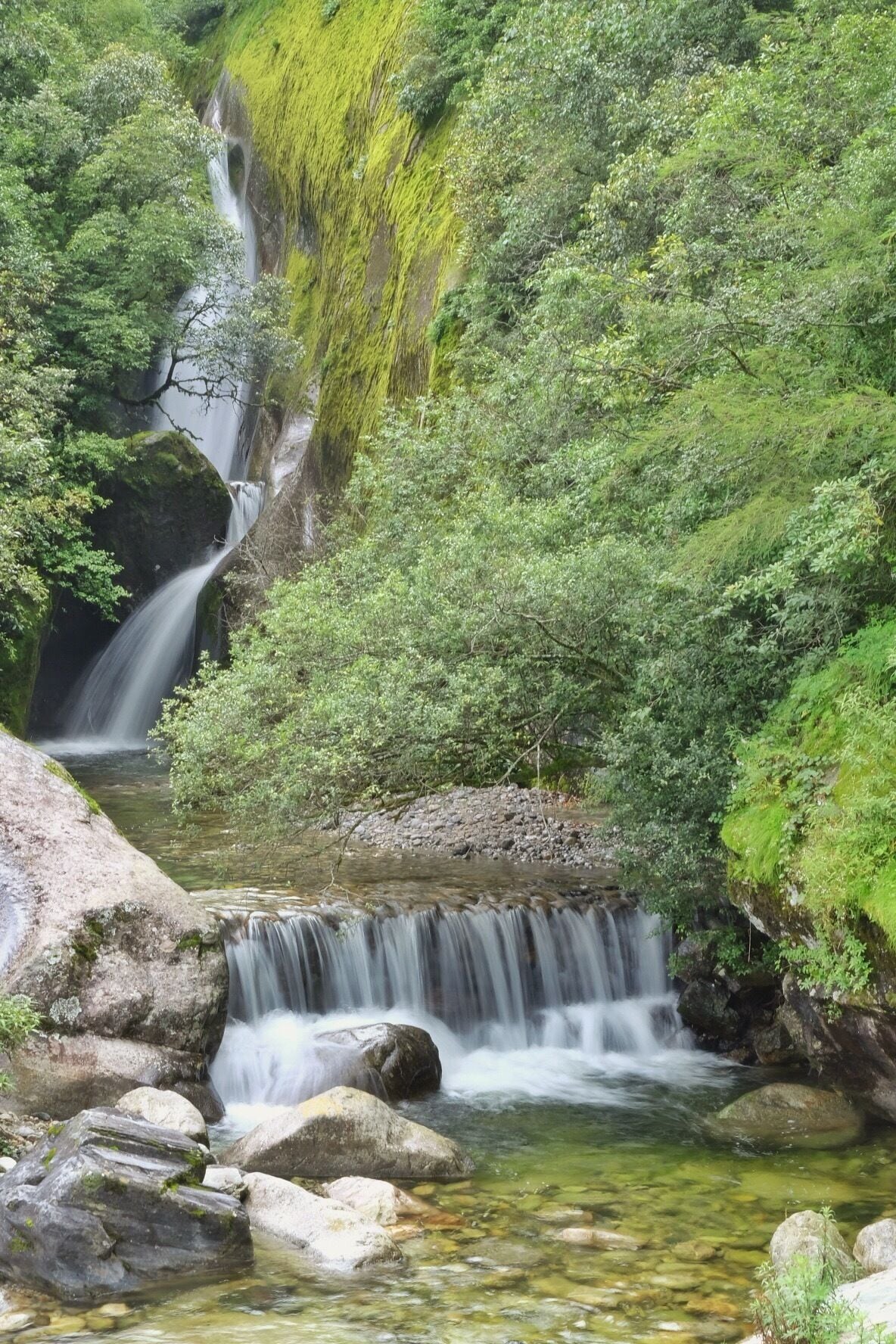 苍山泉流
Water fall in the green mountain. Very peaceful
#Cangshan
#GreatOutdoors