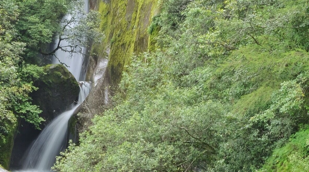 苍山泉流
Water fall in the green mountain. Very peaceful
#Cangshan
#GreatOutdoors