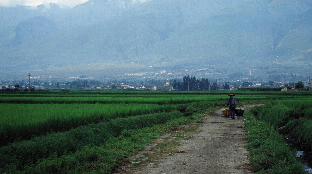 Cycling near Dali. These photos were actually taken 25 years ago with old slide film, so they don't really qualify as "discoveries." But I recently got my Asia photos digitized and wanted to share them.