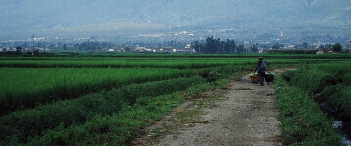 Cycling near Dali. These photos were actually taken 25 years ago with old slide film, so they don't really qualify as "discoveries." But I recently got my Asia photos digitized and wanted to share them.