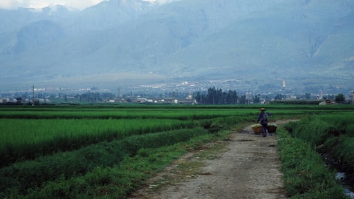 Cycling near Dali. These photos were actually taken 25 years ago with old slide film, so they don't really qualify as "discoveries." But I recently got my Asia photos digitized and wanted to share them.