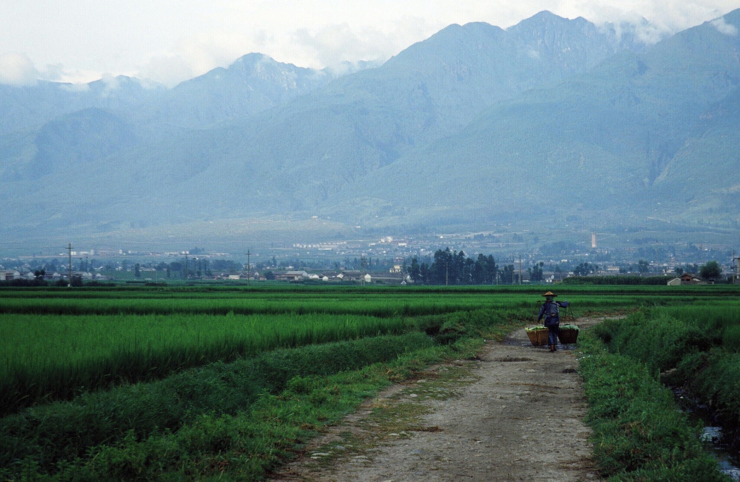 A rural path with a person carrying a basket, surrounded by green fields and mountains in the background.