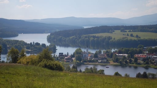 Frymburk is a small market town on the Lipno reservoir in South Bohemia, not far from the Austrian border. Cesky Krumlov is about 15 km away.
This area is a popular for sailing, swimming, and hiking.