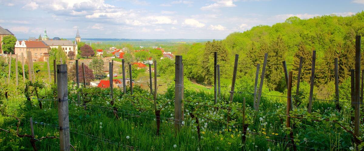 Kutna Hora which includes farmland