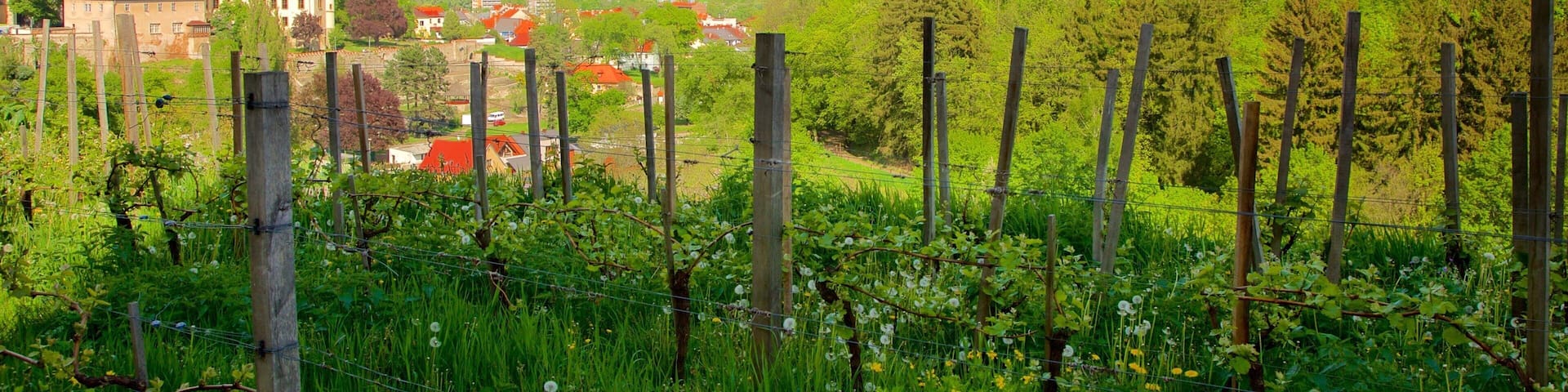 Kutna Hora which includes farmland