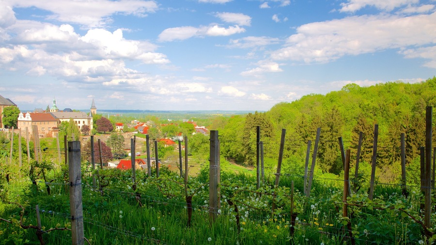 Kutná Hora che include terreno coltivato