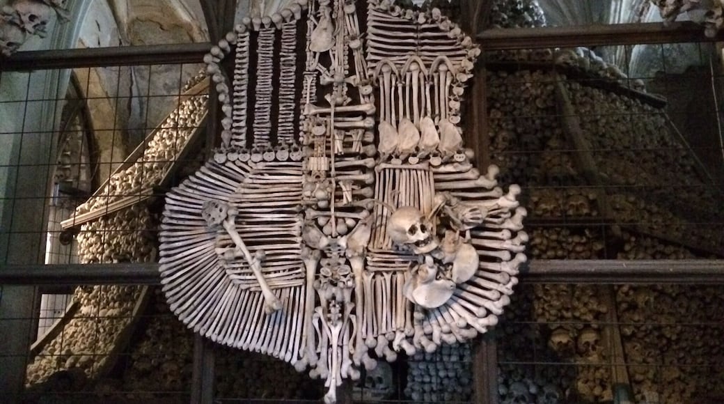 The Sedlec Ossuary is a small Roman Catholic chapel located beneath the Cemetery church. It contains the skeletons of between 40,000 and 70,000 people who died during the Black Death