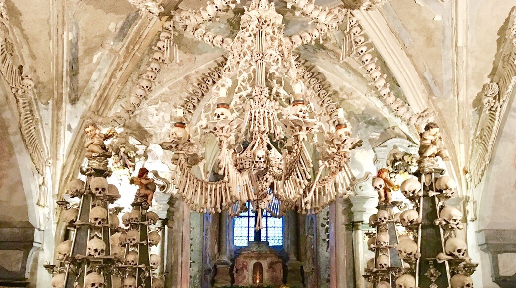 Read about this Bizarre Basement of Human Bones:
http://wp.me/p7CVI8-it
#SedlecOssuary #KutnaHora #CzechRepublic