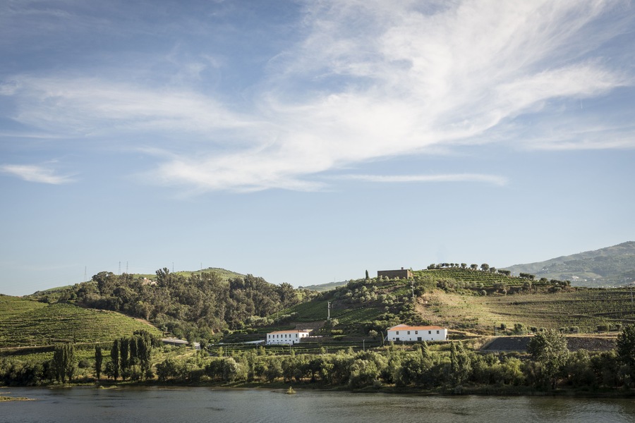 Vineyards in the Douro river region, in the town of Mesao Frio, portugal; Shutterstock ID 676357414; Purchase Order: -
