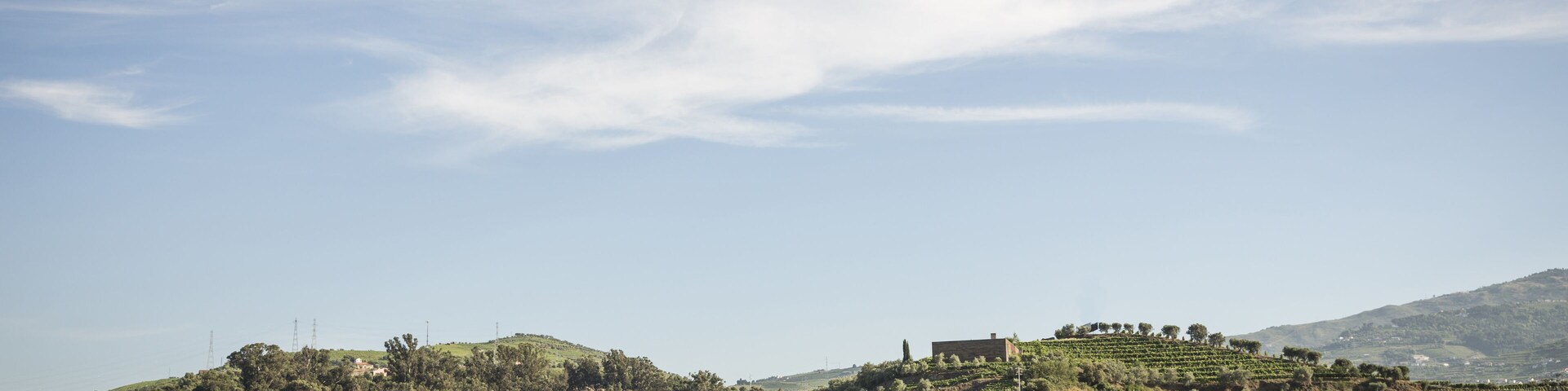 Vineyards in the Douro river region, in the town of Mesao Frio, portugal; Shutterstock ID 676357414; Purchase Order: -