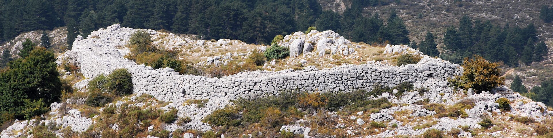 Camp dit Castellaras de la Malle
