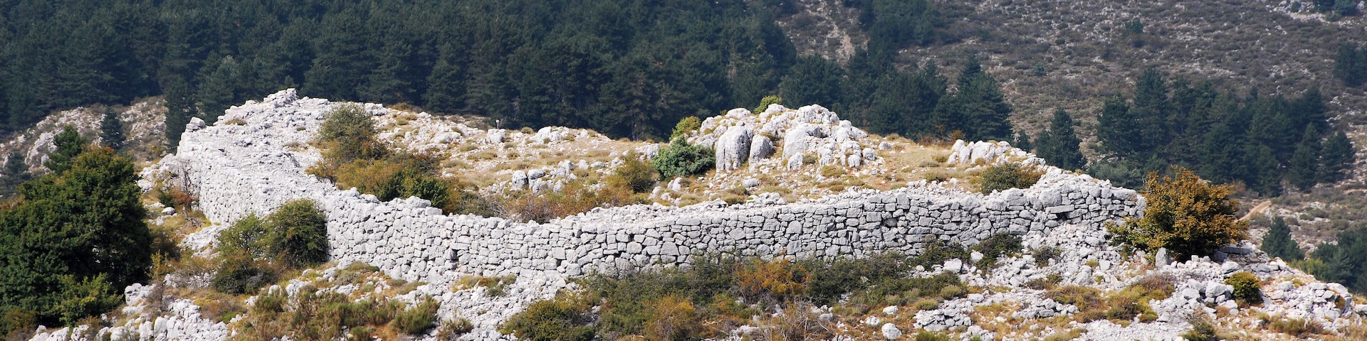 Camp dit Castellaras de la Malle