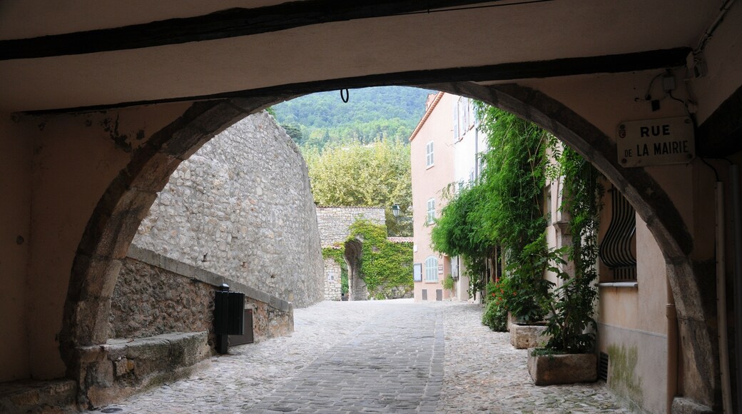 Village de Seillans (Midi de la France)