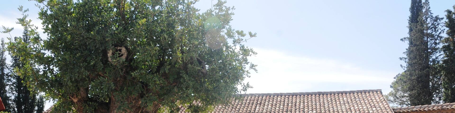 Var (France) : Château Saint-Roux à Vidauban