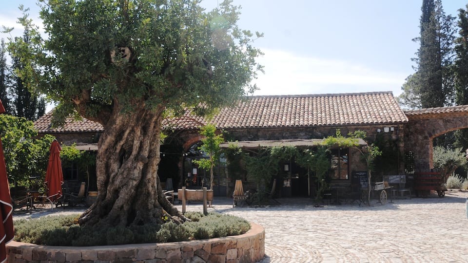 Var (France) : Château Saint-Roux à Vidauban