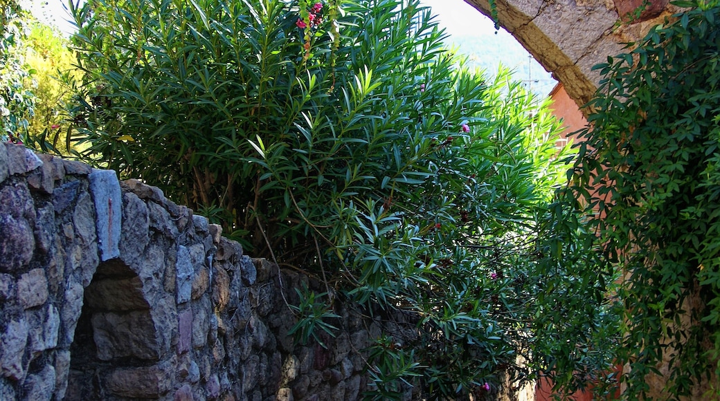 Les Arcs - Rue Victor Maria - View East