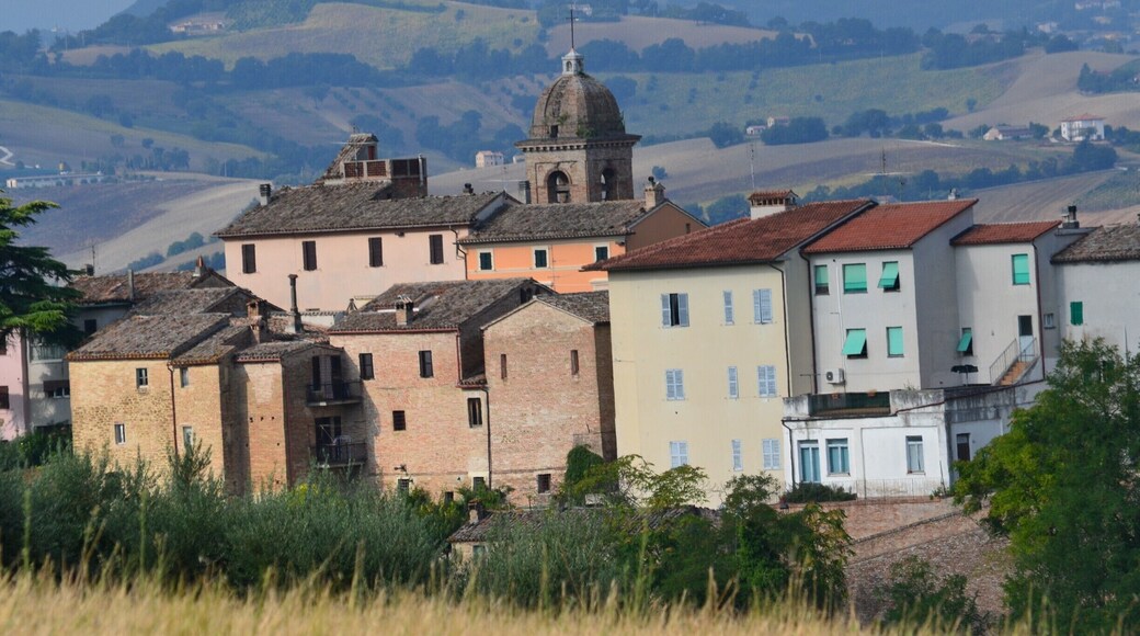 A view over old buildings from a close hill.