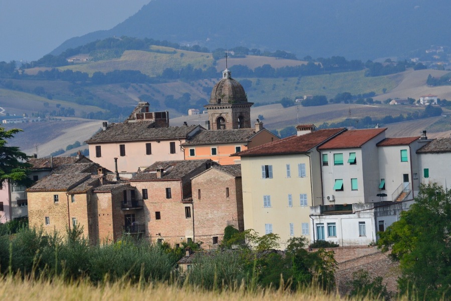 A view over old buildings from a close hill.