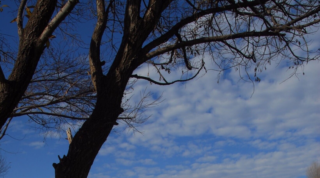 Shaxi Old Town - Friday animal market: worth a full morning visit.
