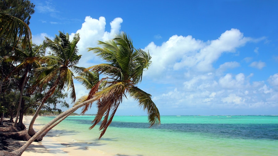 Beautiful tropical beach with coconut palms and blue sky. The picture was taken at the Bavaro beach, Punta Cana, Dominican Republic