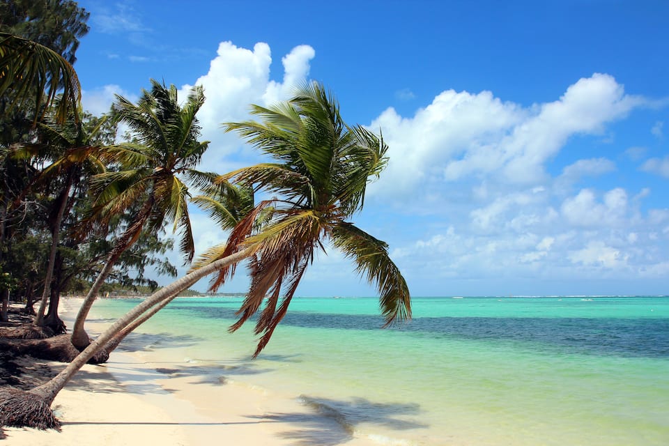 A beach with palm trees and turquoise water.