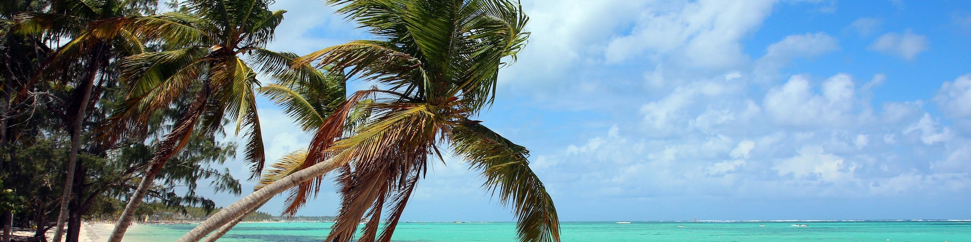 Beautiful tropical beach with coconut palms and blue sky. The picture was taken at the Bavaro beach, Punta Cana, Dominican Republic