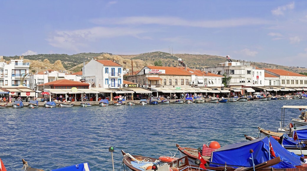 Foça