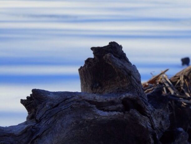 Driving by here you wouldn't think much of it but it's a great place to explore especially when the pond is frozen over. #snow