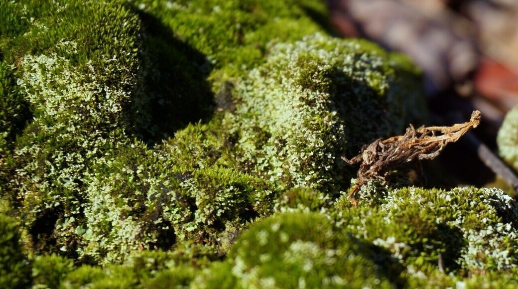 Just off the road in Millbury MA.